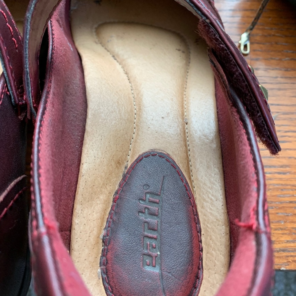 Mary Jane Earth Shoes